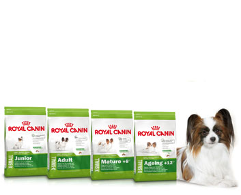 Nutrición para perros muy pequeños